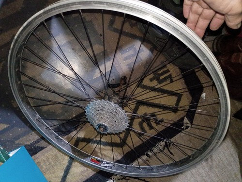 Sun mammoth spoke wheel - 36, 26"